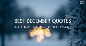 Best December Quotes