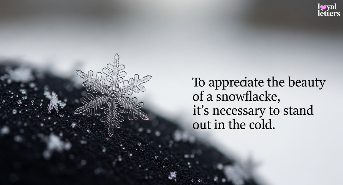 Snow and Winter Magic